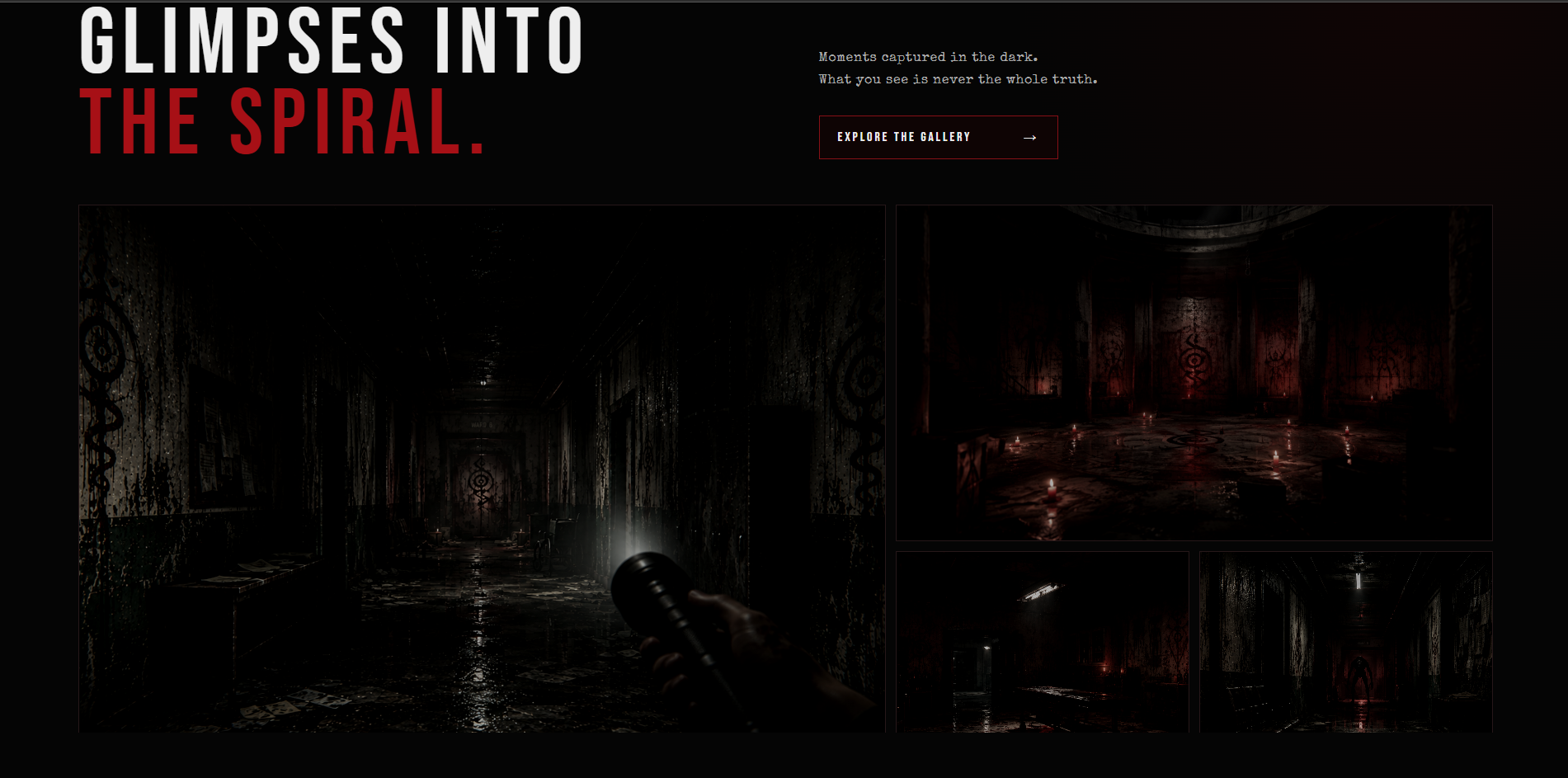 Into the Spiral website showcase